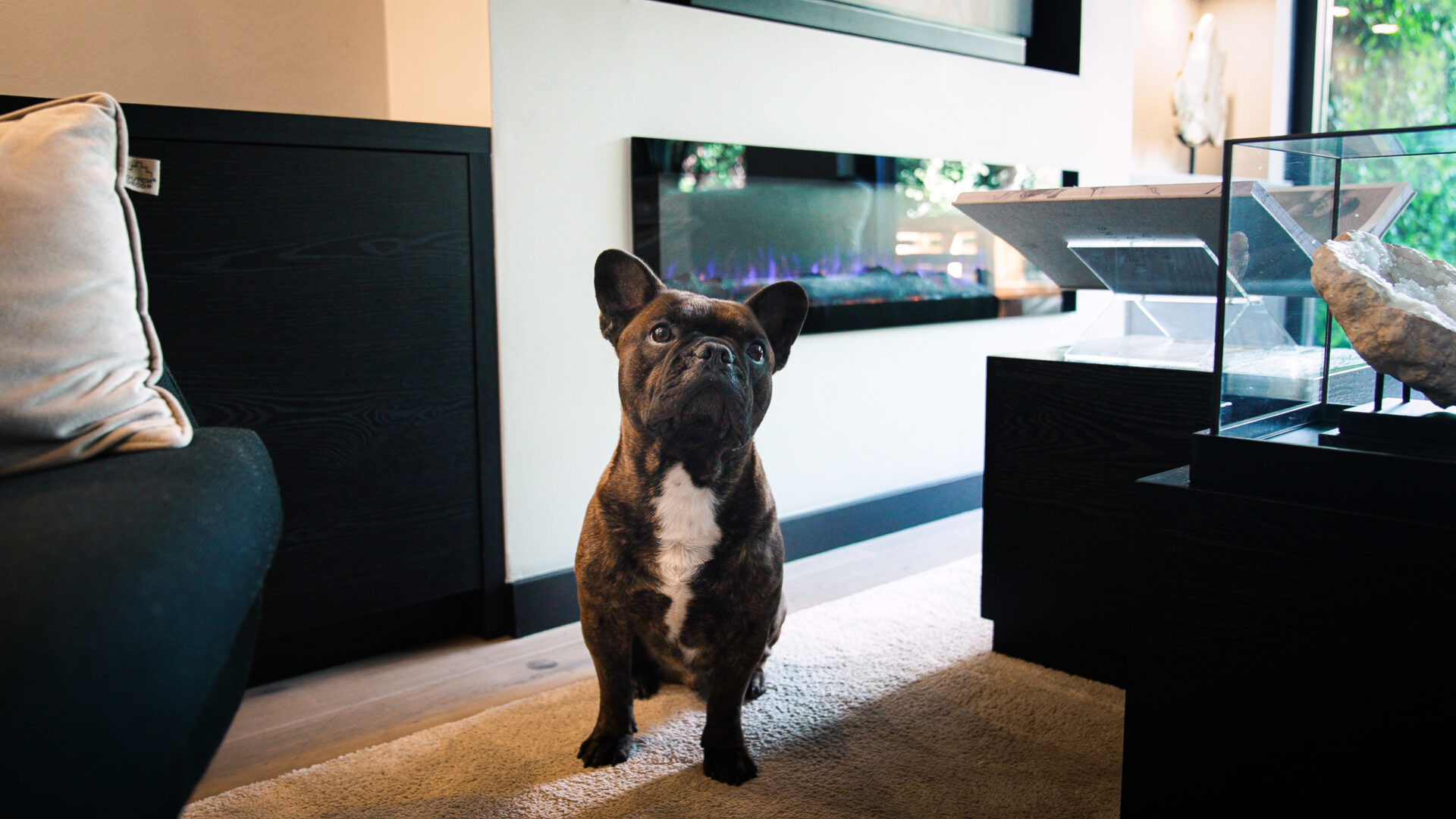 IMG_3583 Sfeerhaard Monaco 128cm